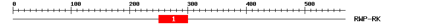 Signature Domain