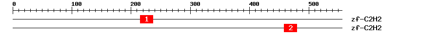 Signature Domain