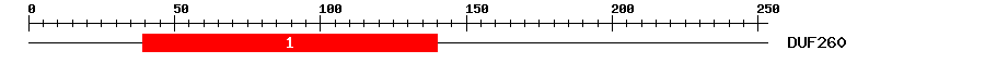 Signature Domain