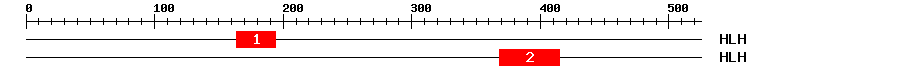 Signature Domain