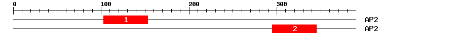 Signature Domain