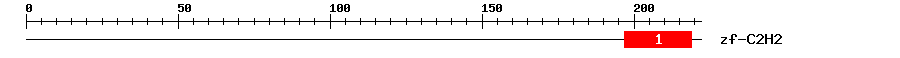 Signature Domain