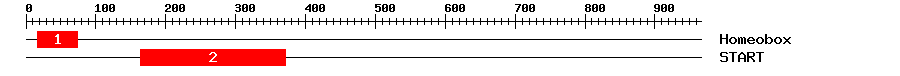 Signature Domain