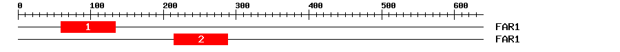 Signature Domain
