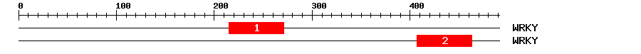 Signature Domain