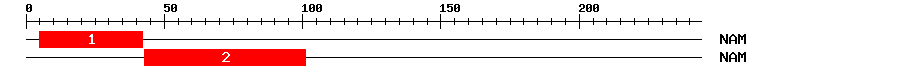 Signature Domain