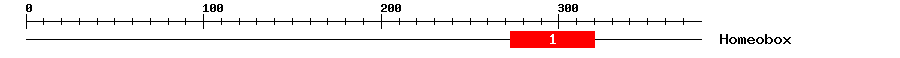 Signature Domain