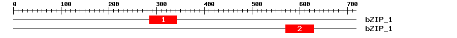 Signature Domain