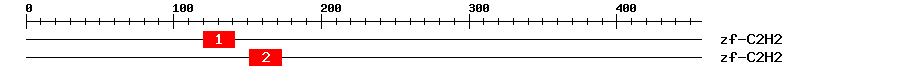 Signature Domain
