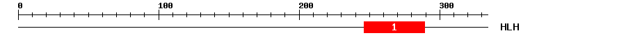 Signature Domain