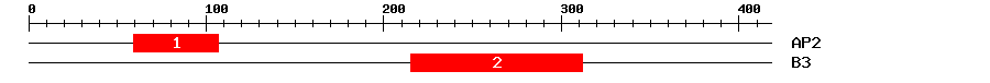 Signature Domain