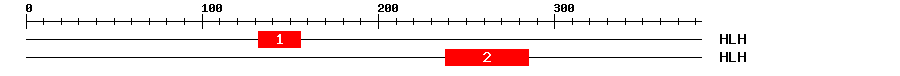 Signature Domain