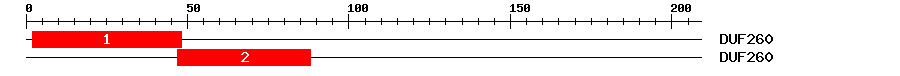 Signature Domain