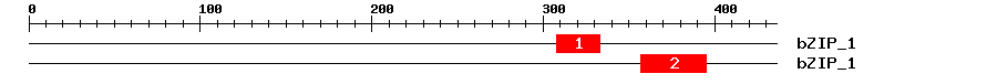 Signature Domain