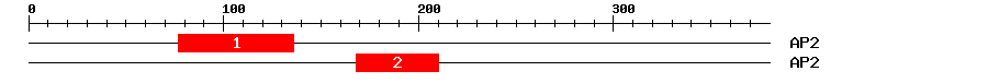 Signature Domain