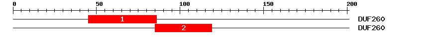 Signature Domain