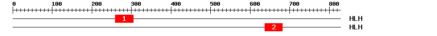 Signature Domain