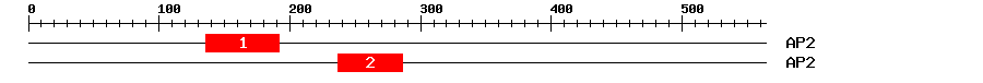 Signature Domain