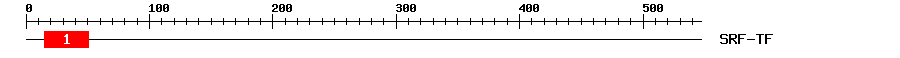 Signature Domain