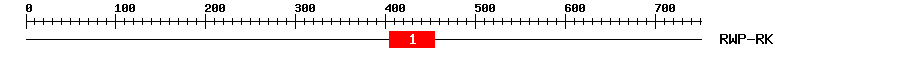 Signature Domain