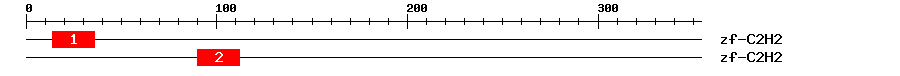 Signature Domain