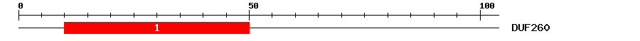 Signature Domain
