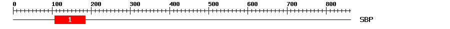 Signature Domain