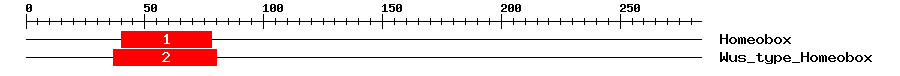 Signature Domain