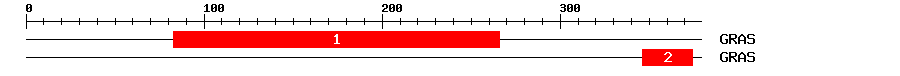 Signature Domain