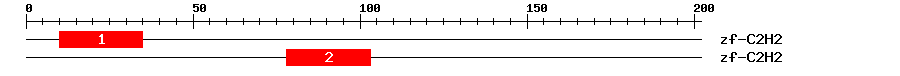 Signature Domain