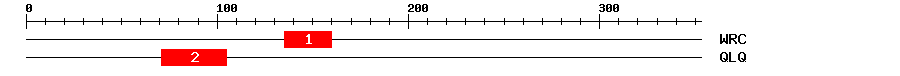 Signature Domain