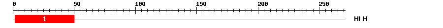 Signature Domain