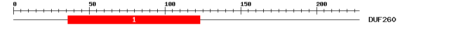 Signature Domain