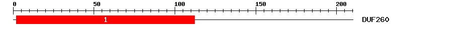 Signature Domain