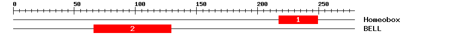 Signature Domain