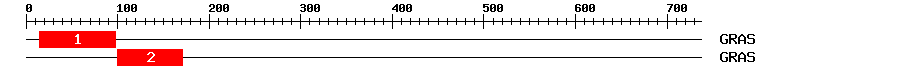 Signature Domain