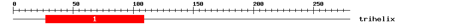 Signature Domain