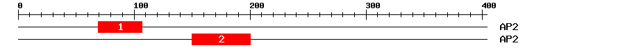 Signature Domain