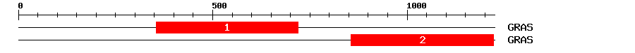 Signature Domain