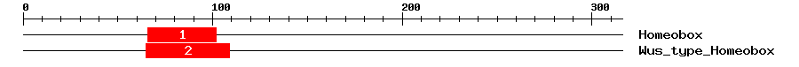 Signature Domain