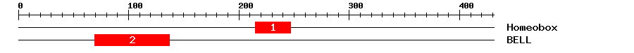 Signature Domain