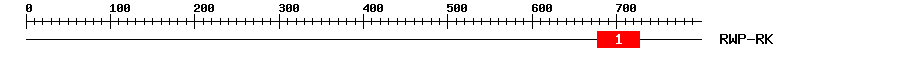Signature Domain