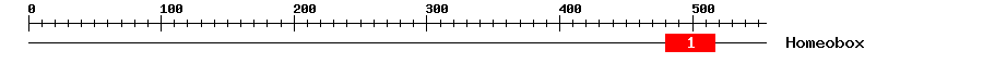 Signature Domain
