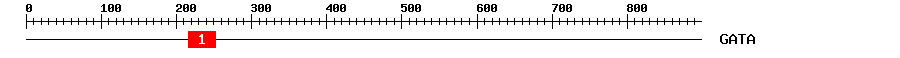Signature Domain
