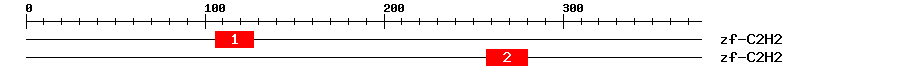 Signature Domain