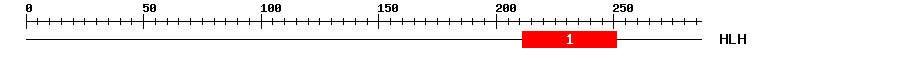 Signature Domain