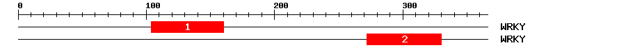 Signature Domain
