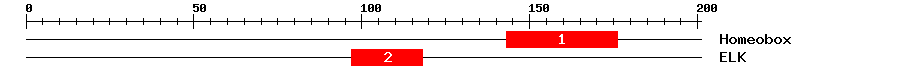 Signature Domain