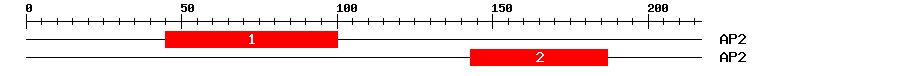 Signature Domain