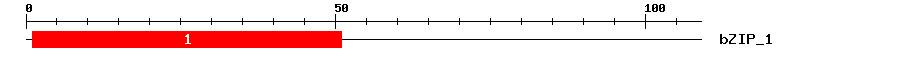 Signature Domain